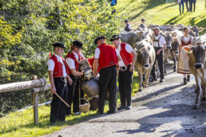 Appenzell, Appenzell Ausserrohden, Appenzeller Vorderland, Landwirtschaft, Schweiz, Suisse, Switzerland, Säntis, Tracht, Viehschau, Wald, Wald AR, Wirtschaft, tradition