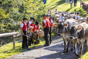 Appenzell, Appenzell Ausserrohden, Appenzeller Vorderland, Landwirtschaft, Schweiz, Suisse, Switzerland, Säntis, Tracht, Viehschau, Wald, Wald AR, Wirtschaft, tradition