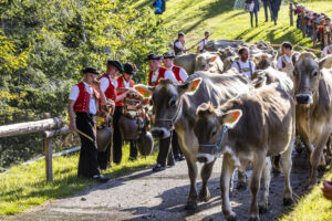 Appenzell, Appenzell Ausserrohden, Appenzeller Vorderland, Landwirtschaft, Schweiz, Suisse, Switzerland, Säntis, Tracht, Viehschau, Wald, Wald AR, Wirtschaft, tradition