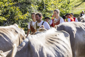 Appenzell, Appenzell Ausserrohden, Appenzeller Vorderland, Landwirtschaft, Schweiz, Suisse, Switzerland, Säntis, Tracht, Viehschau, Wald, Wald AR, Wirtschaft, tradition
