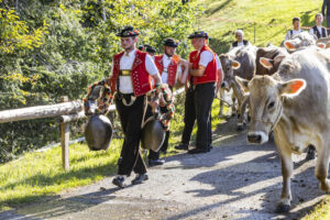 Appenzell, Appenzell Ausserrohden, Appenzeller Vorderland, Landwirtschaft, Schweiz, Suisse, Switzerland, Säntis, Tracht, Viehschau, Wald, Wald AR, Wirtschaft, tradition