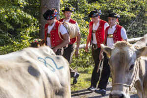 Appenzell, Appenzell Ausserrohden, Appenzeller Vorderland, Landwirtschaft, Schweiz, Suisse, Switzerland, Säntis, Tracht, Viehschau, Wald, Wald AR, Wirtschaft, tradition