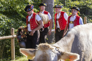 Appenzell, Appenzell Ausserrohden, Appenzeller Vorderland, Landwirtschaft, Schweiz, Suisse, Switzerland, Säntis, Tracht, Viehschau, Wald, Wald AR, Wirtschaft, tradition