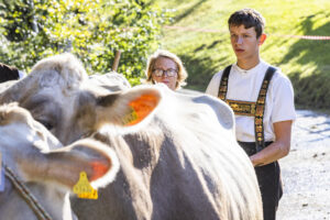 Appenzell, Appenzell Ausserrohden, Appenzeller Vorderland, Landwirtschaft, Schweiz, Suisse, Switzerland, Säntis, Tracht, Viehschau, Wald, Wald AR, Wirtschaft, tradition