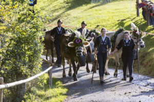 Appenzell, Appenzell Ausserrohden, Appenzeller Vorderland, Landwirtschaft, Schweiz, Suisse, Switzerland, Säntis, Tracht, Viehschau, Wald, Wald AR, Wirtschaft, tradition