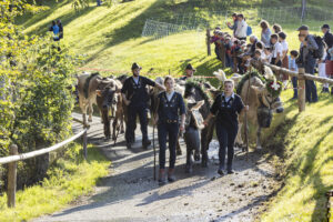 Appenzell, Appenzell Ausserrohden, Appenzeller Vorderland, Landwirtschaft, Schweiz, Suisse, Switzerland, Säntis, Tracht, Viehschau, Wald, Wald AR, Wirtschaft, tradition
