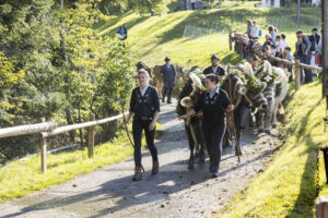 Appenzell, Appenzell Ausserrohden, Appenzeller Vorderland, Landwirtschaft, Schweiz, Suisse, Switzerland, Säntis, Tracht, Viehschau, Wald, Wald AR, Wirtschaft, tradition