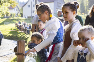 Appenzell, Appenzell Ausserrohden, Appenzeller Vorderland, Landwirtschaft, Schweiz, Suisse, Switzerland, Säntis, Tracht, Viehschau, Wald, Wald AR, Wirtschaft, tradition