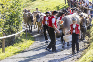 Appenzell, Appenzell Ausserrohden, Appenzeller Vorderland, Landwirtschaft, Schweiz, Suisse, Switzerland, Säntis, Tracht, Viehschau, Wald, Wald AR, Wirtschaft, tradition
