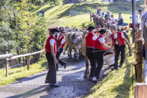 Appenzell, Appenzell Ausserrohden, Appenzeller Vorderland, Landwirtschaft, Schweiz, Suisse, Switzerland, Säntis, Tracht, Viehschau, Wald, Wald AR, Wirtschaft, tradition