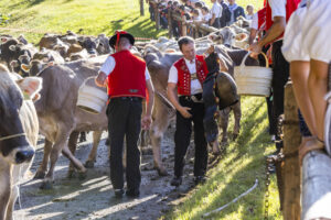 Appenzell, Appenzell Ausserrohden, Appenzeller Vorderland, Landwirtschaft, Schweiz, Suisse, Switzerland, Säntis, Tracht, Viehschau, Wald, Wald AR, Wirtschaft, tradition