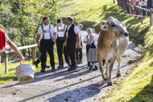Appenzell, Appenzell Ausserrohden, Appenzeller Vorderland, Landwirtschaft, Schweiz, Suisse, Switzerland, Säntis, Tracht, Viehschau, Wald, Wald AR, Wirtschaft, tradition
