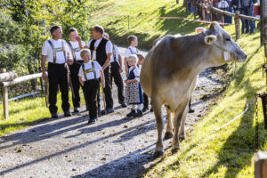 Appenzell, Appenzell Ausserrohden, Appenzeller Vorderland, Landwirtschaft, Schweiz, Suisse, Switzerland, Säntis, Tracht, Viehschau, Wald, Wald AR, Wirtschaft, tradition