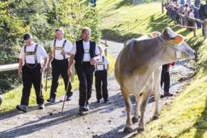 Appenzell, Appenzell Ausserrohden, Appenzeller Vorderland, Landwirtschaft, Schweiz, Suisse, Switzerland, Säntis, Tracht, Viehschau, Wald, Wald AR, Wirtschaft, tradition