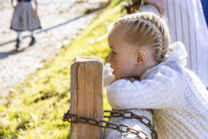 Appenzell, Appenzell Ausserrohden, Appenzeller Vorderland, Landwirtschaft, Schweiz, Suisse, Switzerland, Säntis, Tracht, Viehschau, Wald, Wald AR, Wirtschaft, tradition