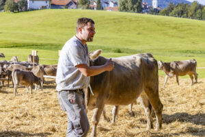 Appenzell, Appenzell Ausserrohden, Appenzeller Vorderland, Landwirtschaft, Schweiz, Suisse, Switzerland, Säntis, Tracht, Viehschau, Wald, Wald AR, Wirtschaft, tradition
