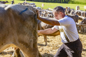Appenzell, Appenzell Ausserrohden, Appenzeller Vorderland, Landwirtschaft, Schweiz, Suisse, Switzerland, Säntis, Tracht, Viehschau, Wald, Wald AR, Wirtschaft, tradition