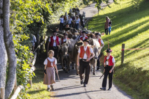 Appenzell, Appenzell Ausserrohden, Appenzeller Vorderland, Landwirtschaft, Schweiz, Suisse, Switzerland, Säntis, Tracht, Viehschau, Wald, Wald AR, Wirtschaft, tradition