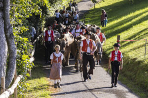 Appenzell, Appenzell Ausserrohden, Appenzeller Vorderland, Landwirtschaft, Schweiz, Suisse, Switzerland, Säntis, Tracht, Viehschau, Wald, Wald AR, Wirtschaft, tradition