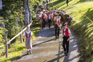 Appenzell, Appenzell Ausserrohden, Appenzeller Vorderland, Landwirtschaft, Schweiz, Suisse, Switzerland, Säntis, Tracht, Viehschau, Wald, Wald AR, Wirtschaft, tradition