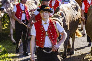 Appenzell, Appenzell Ausserrohden, Appenzeller Vorderland, Landwirtschaft, Schweiz, Suisse, Switzerland, Säntis, Tracht, Viehschau, Wald, Wald AR, Wirtschaft, tradition