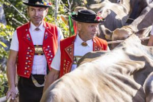 Appenzell, Appenzell Ausserrohden, Appenzeller Vorderland, Landwirtschaft, Schweiz, Suisse, Switzerland, Säntis, Tracht, Viehschau, Wald, Wald AR, Wirtschaft, tradition