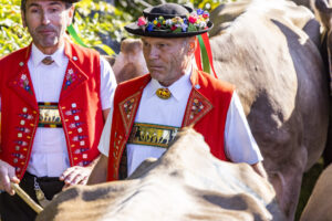 Appenzell, Appenzell Ausserrohden, Appenzeller Vorderland, Landwirtschaft, Schweiz, Suisse, Switzerland, Säntis, Tracht, Viehschau, Wald, Wald AR, Wirtschaft, tradition