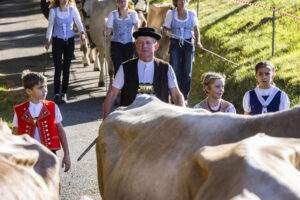 Appenzell, Appenzell Ausserrohden, Appenzeller Vorderland, Landwirtschaft, Schweiz, Suisse, Switzerland, Säntis, Tracht, Viehschau, Wald, Wald AR, Wirtschaft, tradition