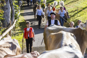 Appenzell, Appenzell Ausserrohden, Appenzeller Vorderland, Landwirtschaft, Schweiz, Suisse, Switzerland, Säntis, Tracht, Viehschau, Wald, Wald AR, Wirtschaft, tradition