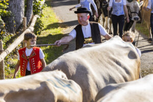 Appenzell, Appenzell Ausserrohden, Appenzeller Vorderland, Landwirtschaft, Schweiz, Suisse, Switzerland, Säntis, Tracht, Viehschau, Wald, Wald AR, Wirtschaft, tradition