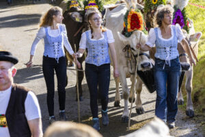 Appenzell, Appenzell Ausserrohden, Appenzeller Vorderland, Landwirtschaft, Schweiz, Suisse, Switzerland, Säntis, Tracht, Viehschau, Wald, Wald AR, Wirtschaft, tradition