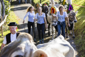 Appenzell, Appenzell Ausserrohden, Appenzeller Vorderland, Landwirtschaft, Schweiz, Suisse, Switzerland, Säntis, Tracht, Viehschau, Wald, Wald AR, Wirtschaft, tradition