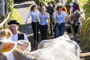 Appenzell, Appenzell Ausserrohden, Appenzeller Vorderland, Landwirtschaft, Schweiz, Suisse, Switzerland, Säntis, Tracht, Viehschau, Wald, Wald AR, Wirtschaft, tradition