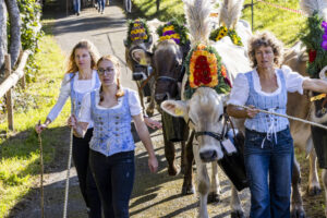Appenzell, Appenzell Ausserrohden, Appenzeller Vorderland, Landwirtschaft, Schweiz, Suisse, Switzerland, Säntis, Tracht, Viehschau, Wald, Wald AR, Wirtschaft, tradition