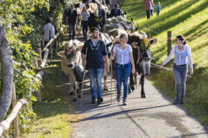 Appenzell, Appenzell Ausserrohden, Appenzeller Vorderland, Landwirtschaft, Schweiz, Suisse, Switzerland, Säntis, Tracht, Viehschau, Wald, Wald AR, Wirtschaft, tradition