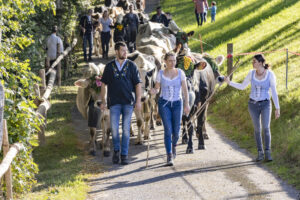 Appenzell, Appenzell Ausserrohden, Appenzeller Vorderland, Landwirtschaft, Schweiz, Suisse, Switzerland, Säntis, Tracht, Viehschau, Wald, Wald AR, Wirtschaft, tradition