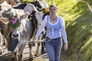 Appenzell, Appenzell Ausserrohden, Appenzeller Vorderland, Landwirtschaft, Schweiz, Suisse, Switzerland, Säntis, Tracht, Viehschau, Wald, Wald AR, Wirtschaft, tradition