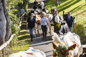 Appenzell, Appenzell Ausserrohden, Appenzeller Vorderland, Landwirtschaft, Schweiz, Suisse, Switzerland, Säntis, Tracht, Viehschau, Wald, Wald AR, Wirtschaft, tradition