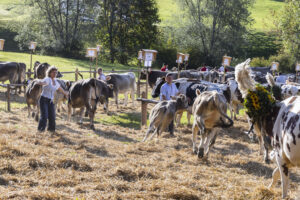 Appenzell, Appenzell Ausserrohden, Appenzeller Vorderland, Landwirtschaft, Schweiz, Suisse, Switzerland, Säntis, Tracht, Viehschau, Wald, Wald AR, Wirtschaft, tradition