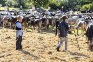 Appenzell, Appenzell Ausserrohden, Appenzeller Vorderland, Landwirtschaft, Schweiz, Suisse, Switzerland, Säntis, Tracht, Viehschau, Wald, Wald AR, Wirtschaft, tradition