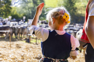 Appenzell, Appenzell Ausserrohden, Appenzeller Vorderland, Landwirtschaft, Schweiz, Suisse, Switzerland, Säntis, Tracht, Viehschau, Wald, Wald AR, Wirtschaft, tradition
