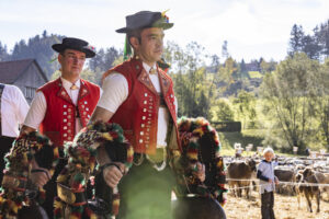 Appenzell, Appenzell Ausserrohden, Appenzeller Vorderland, Landwirtschaft, Schweiz, Suisse, Switzerland, Säntis, Tracht, Viehschau, Wald, Wald AR, Wirtschaft, tradition