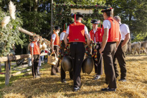 Appenzell, Appenzell Ausserrohden, Appenzeller Vorderland, Landwirtschaft, Schweiz, Suisse, Switzerland, Säntis, Tracht, Viehschau, Wald, Wald AR, Wirtschaft, tradition