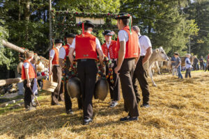 Appenzell, Appenzell Ausserrohden, Appenzeller Vorderland, Landwirtschaft, Schweiz, Suisse, Switzerland, Säntis, Tracht, Viehschau, Wald, Wald AR, Wirtschaft, tradition