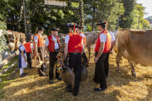 Appenzell, Appenzell Ausserrohden, Appenzeller Vorderland, Landwirtschaft, Schweiz, Suisse, Switzerland, Säntis, Tracht, Viehschau, Wald, Wald AR, Wirtschaft, tradition