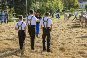 Appenzell, Appenzell Ausserrohden, Appenzeller Vorderland, Landwirtschaft, Schweiz, Suisse, Switzerland, Säntis, Tracht, Viehschau, Wald, Wald AR, Wirtschaft, tradition