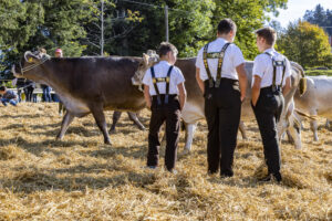 Appenzell, Appenzell Ausserrohden, Appenzeller Vorderland, Landwirtschaft, Schweiz, Suisse, Switzerland, Säntis, Tracht, Viehschau, Wald, Wald AR, Wirtschaft, tradition