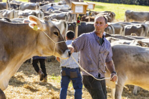 Appenzell, Appenzell Ausserrohden, Appenzeller Vorderland, Landwirtschaft, Schweiz, Suisse, Switzerland, Säntis, Tracht, Viehschau, Wald, Wald AR, Wirtschaft, tradition