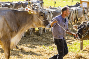 Appenzell, Appenzell Ausserrohden, Appenzeller Vorderland, Landwirtschaft, Schweiz, Suisse, Switzerland, Säntis, Tracht, Viehschau, Wald, Wald AR, Wirtschaft, tradition