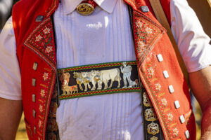 Appenzell, Appenzell Ausserrohden, Appenzeller Vorderland, Landwirtschaft, Schweiz, Suisse, Switzerland, Säntis, Tracht, Viehschau, Wald, Wald AR, Wirtschaft, tradition